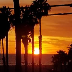 Meet your Posher, Rosemary